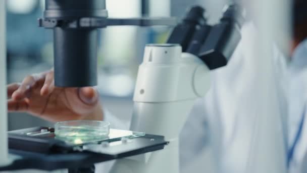 Primer plano científico poner Petri plato en el microscopio — Vídeo de stock