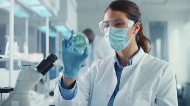 ( 영어 ) Close Female Scientist - Face Mask Looking at Sample in Petri Dish in Laboratory — 비디오