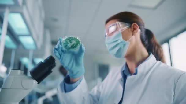 Закріпіть жіночого вченого в масках, дивлячись на зразок у Petri Dish в лабораторії — стокове відео