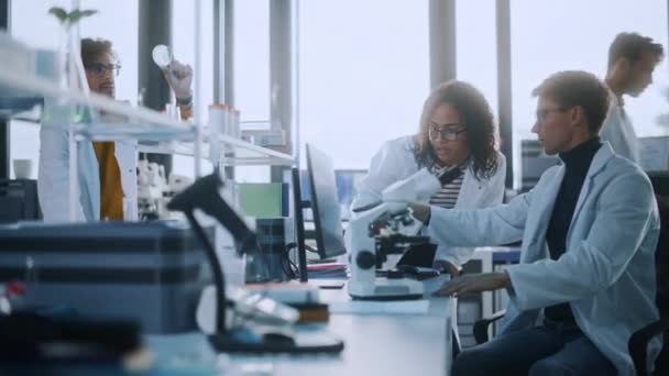 Team van jonge wetenschappers werkzaam in het laboratorium — Stockvideo