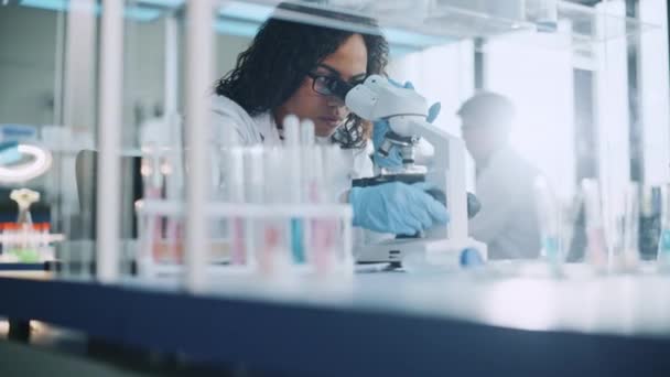 Joven científica que trabaja en laboratorio — Vídeo de stock