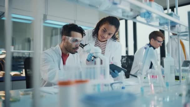 실험실에서 일하는 젊은 과학자들의 팀 — 비디오