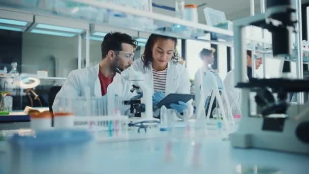 Team van jonge wetenschappers in het laboratorium — Stockvideo