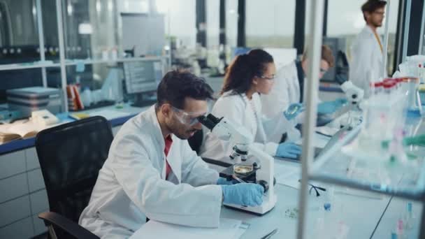 Team junger Wissenschaftler im Labor — Stockvideo