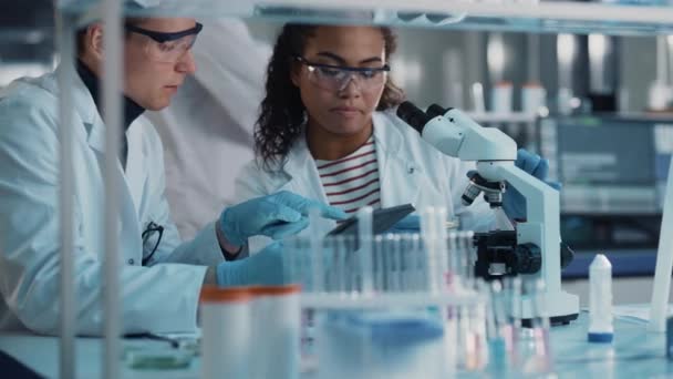 Dos jóvenes científicos trabajan en laboratorio — Vídeos de Stock
