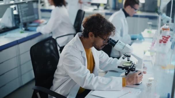 Científicos trabajando en laboratorio — Vídeo de stock