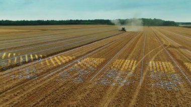 Alan Hasatçısı Grafik Analizi