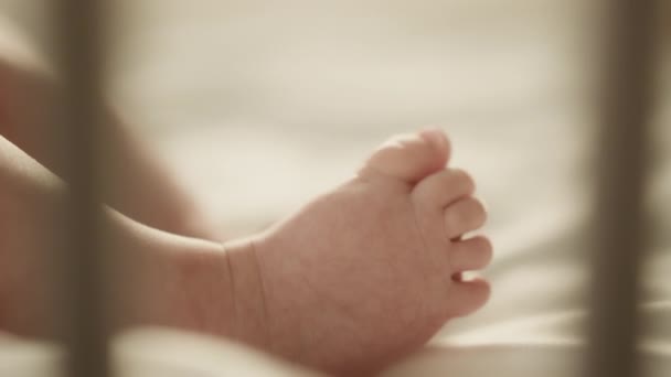 Close up Newborn Baby Feet — Stock Video