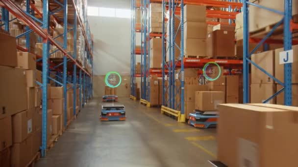 Automatyczne roboty dostawcze VFX pracujące w Magazynie — Wideo stockowe
