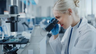 Modern Tıbbi Araştırma Laboratuvarı: Mikroskop Altında Araştıran Kadın Bilimadamlarının Portresi, Biyokimya Örnekleri Analizi. Gelişmiş Tıp, Mikrobiyoloji Geliştirme Laboratuvarı
