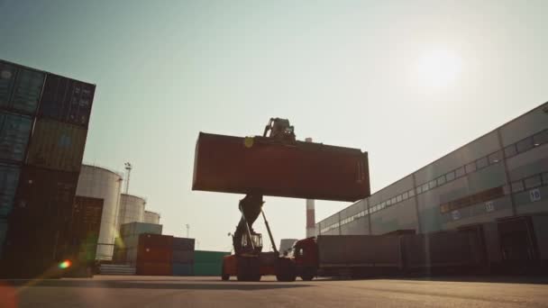 Container Handler Praca w terminalu — Wideo stockowe