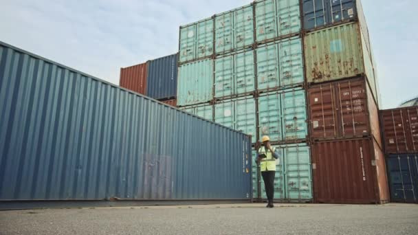 Industrieel ingenieur in containerterminal — Stockvideo