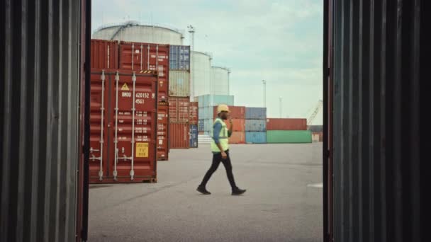 Вилковий навантажувач Завантаження контейнера в терміналі — стокове відео