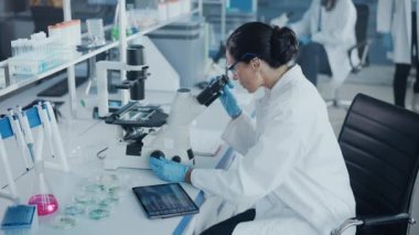 Mikroskop kullanan büyük bir tıp laboratuarı bilimcisi.