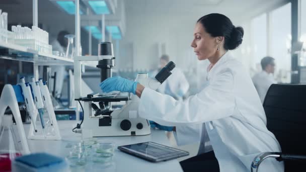 Duże laboratorium medyczne z naukowcami pracującymi — Wideo stockowe