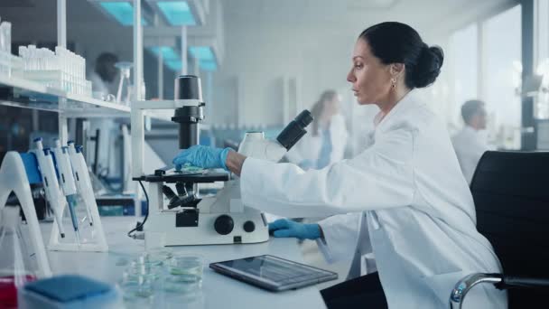 Großes medizinisches Labor mit arbeitenden Wissenschaftlern — Stockvideo