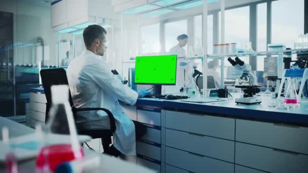 Медицинская лаборатория Ученый, работающий на Green Screen Computer — стоковое видео