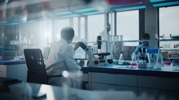 Vědec pracující v laboratoři — Stock video