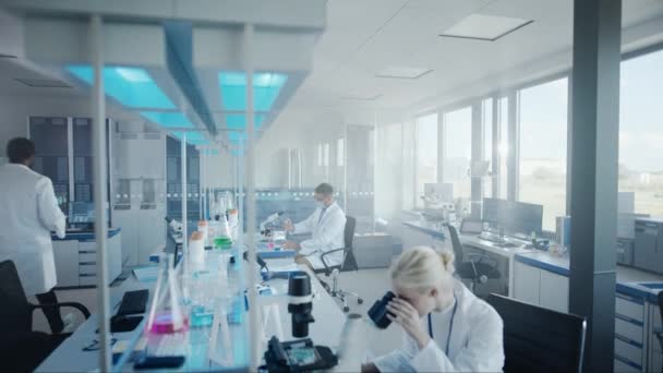 Une équipe de scientifiques travaille en laboratoire — Video