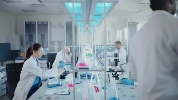 Laboratuvarda çeşitli bilim adamları çalışıyor. — Stok video