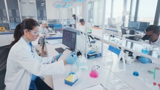 Diverse team van wetenschappers werken in het laboratorium — Stockvideo