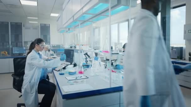 Bilim adamlarından oluşan bir ekip laboratuarda çalışıyor. — Stok video
