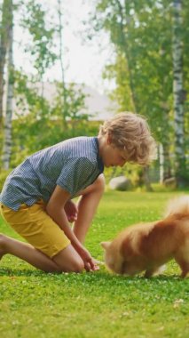 Dikey Video Çocuğu Park 'ta Pomeranian ile Oynuyor