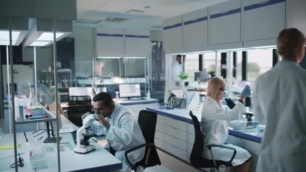 Olika forskarlag arbetar i laboratoriet — Stockvideo
