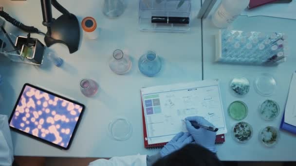 Diverse echipe de oameni de știință lucrează în laborator — Videoclip de stoc