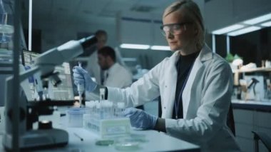 Bilimadamı Laboratuvarda Pipette Kullanıyor