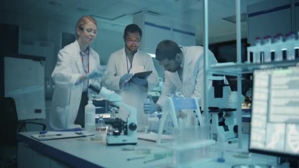 Divers scientifiques de l'équipe travaillent en laboratoire — Video