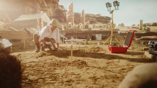 Археологи работают на раскопках — стоковое видео