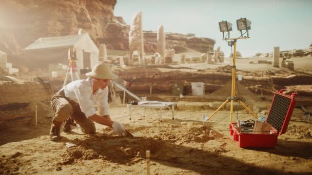 Arkeolog vid grävplatsen Arkeolog — Stockvideo