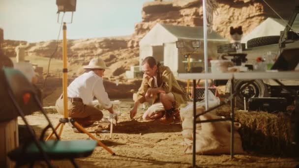 Arkeologiska grävplatser Arkeologer — Stockvideo