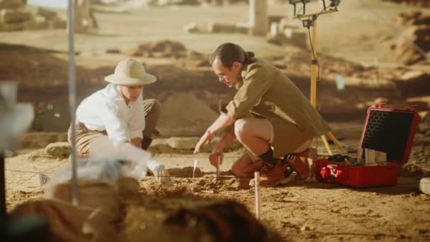 Αρχαιολογικοί αρχαιολόγοι χώρων ανασκαφής — Αρχείο Βίντεο