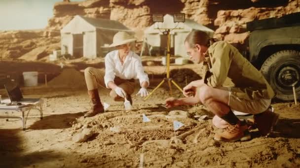 Archaelogical Digging Site Archeologists — Stok Video