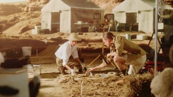 Arqueólogos Archaelogical Digging Site — Vídeo de Stock