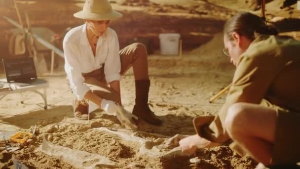 Archaelogical Digging Site Archeologists — Stok Video