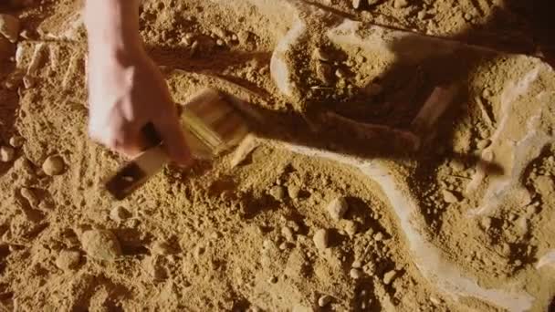 Archeologové z archeologických nalezišť shora dolů — Stock video
