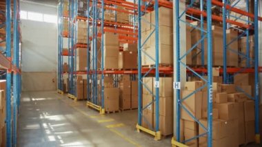 Shelfs ve Karton Kutuları olan Büyük Depo Ticari Mallar