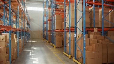 Shelfs ve Karton Kutuları olan Büyük Depo Ticari Mallar