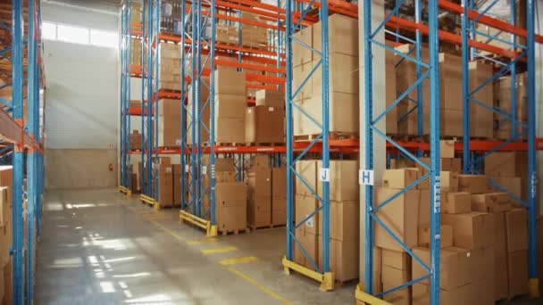 Grand entrepôt avec étagères et boîtes en carton Marchandises — Video