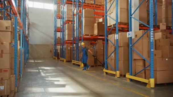 Trabajador de almacén grande usando carretilla elevadora manual para mover cajas de cartón — Vídeo de stock