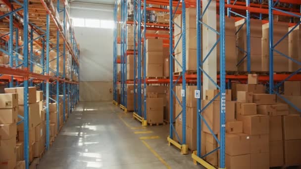 Big Warehouse with Shelfs and Cardboard Boxes Merchandise — Stock Video