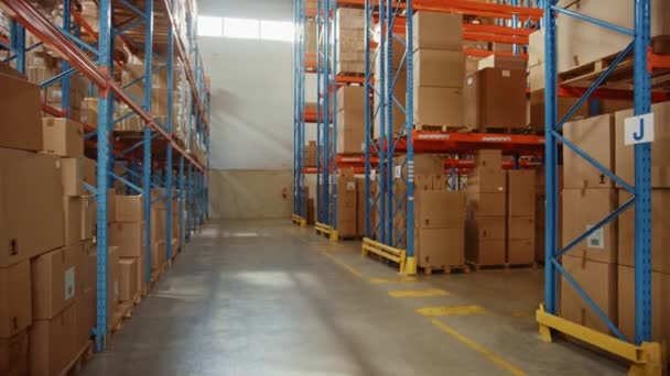 大型货仓及货架及纸板箱商品 — 图库视频影像