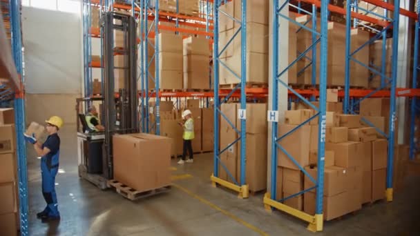 Großes Lagerteam von Arbeitern scannt und verschiebt Kartons Merchandise — Stockvideo