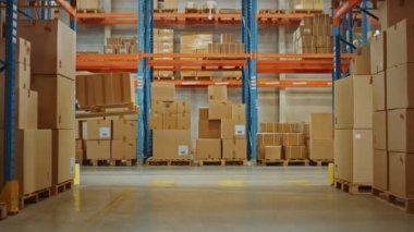 Dış iskelet takım elbiseli gelecekçi Modern Depo İşçisi Paleti karton kutularla taşıyor
