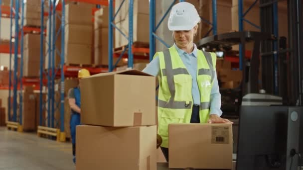 En el almacén grande la mujer del trabajador sella la caja de cartón con el dispensador de la cinta de sellado — Vídeos de Stock