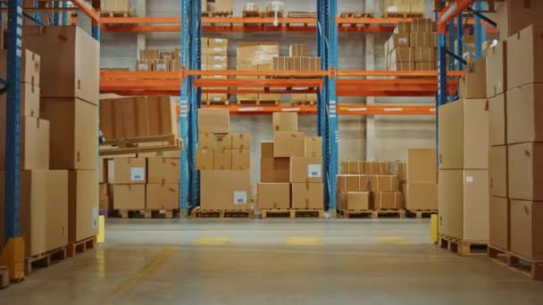 Travailleur d'entrepôt moderne futuriste avec costume exosquelette se déplace palette avec boîtes en carton — Video