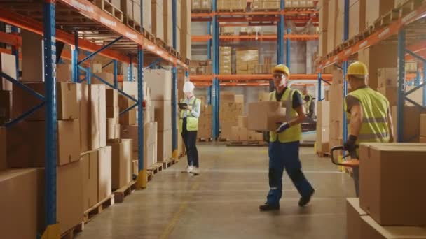 Большой склад с картонными коробками и работающими людьми — стоковое видео
